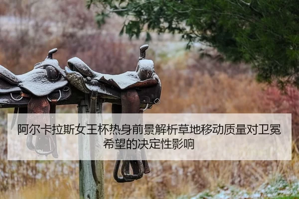 a-er-ka-la-si-nv-wang-bei-re-shen-qian-jing-jie-xi-cao-di-yi-dong-zhi-liang-dui-wei-mian-xi-wang-de-jue-ding-xing-ying-1-321.jpg