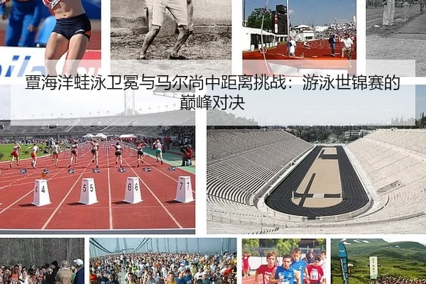 tan-hai-yang-wa-yong-wei-mian-yu-ma-er-shang-zhong-ju-li-tiao-zhan-you-yong-shi-jin-sai-de-dian-feng-dui-jue-2-378.jpg