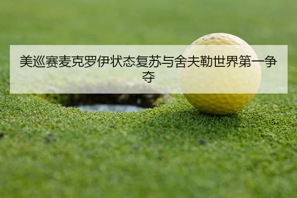 mei-xun-sai-mai-ke-luo-yi-zhuang-tai-fu-su-yu-she-fu-lei-shi-jie-di-yi-zheng-duo-2-276.jpg