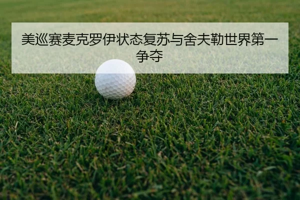 mei-xun-sai-mai-ke-luo-yi-zhuang-tai-fu-su-yu-she-fu-lei-shi-jie-di-yi-zheng-duo-3-518.jpg